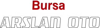 Bursa Otomatik Sansızman